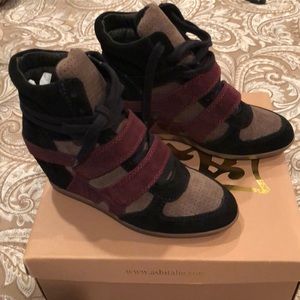 Ash Designer Wedge Seakers